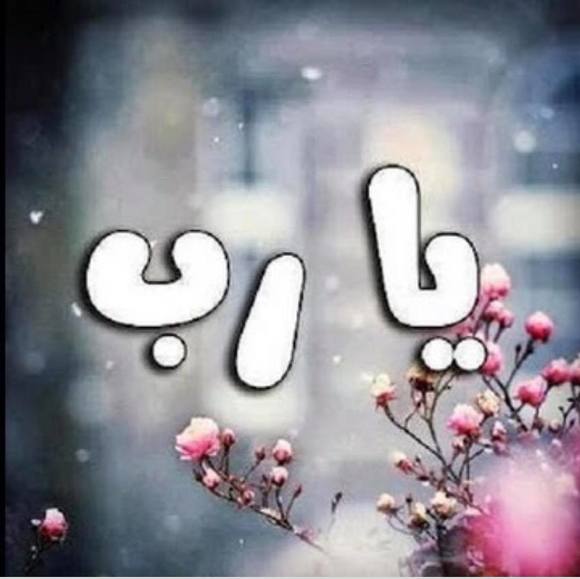 amaalshanableh